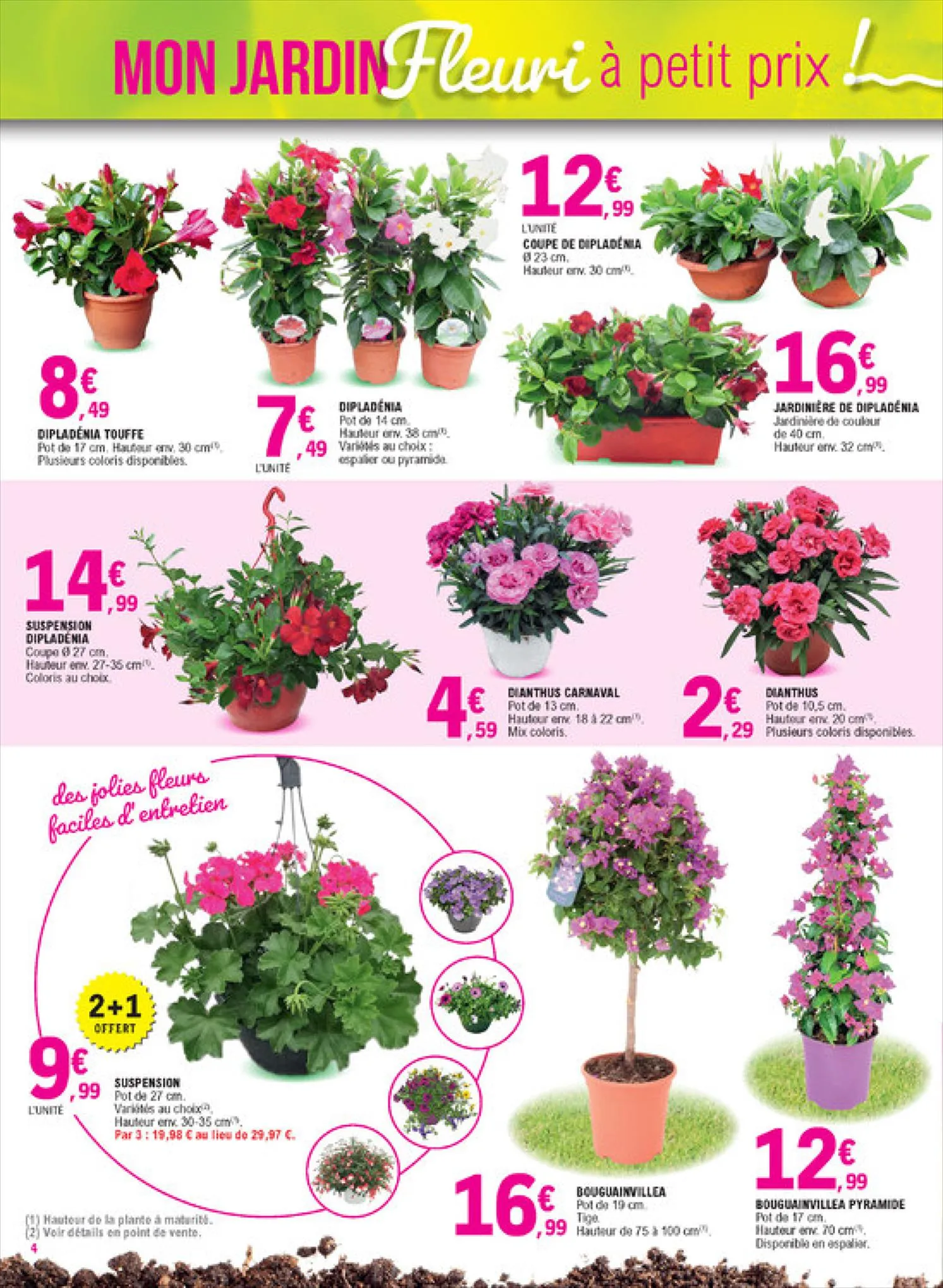 Catalogue Mon jardin fleuri à petit prix!, page 00004