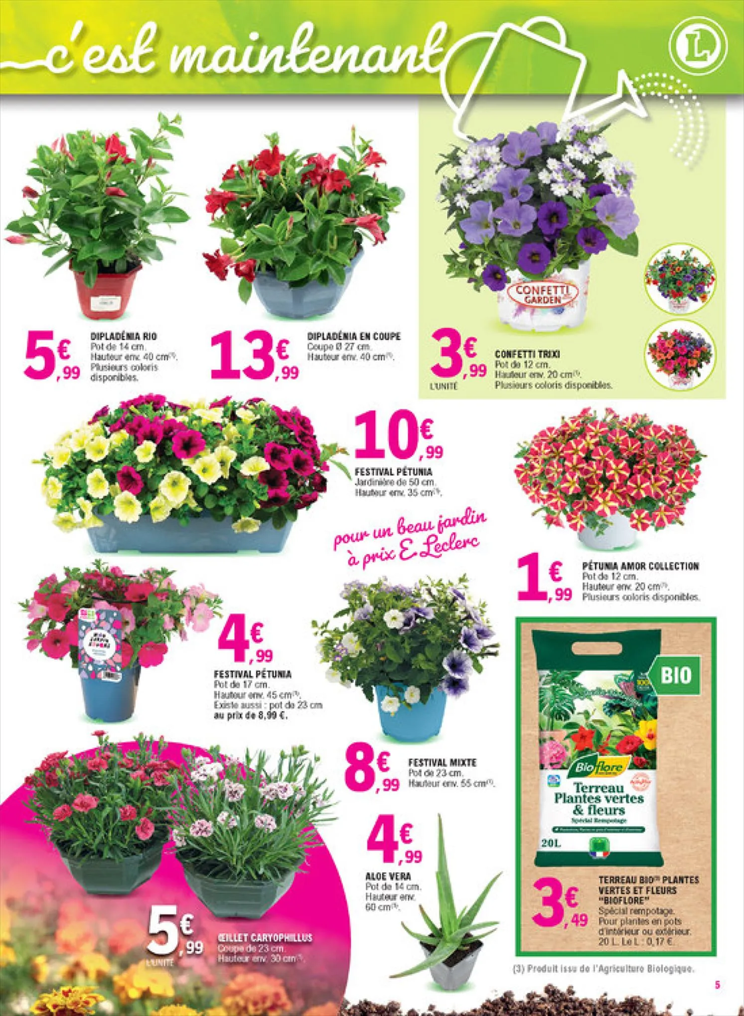 Catalogue Mon jardin fleuri à petit prix!, page 00005