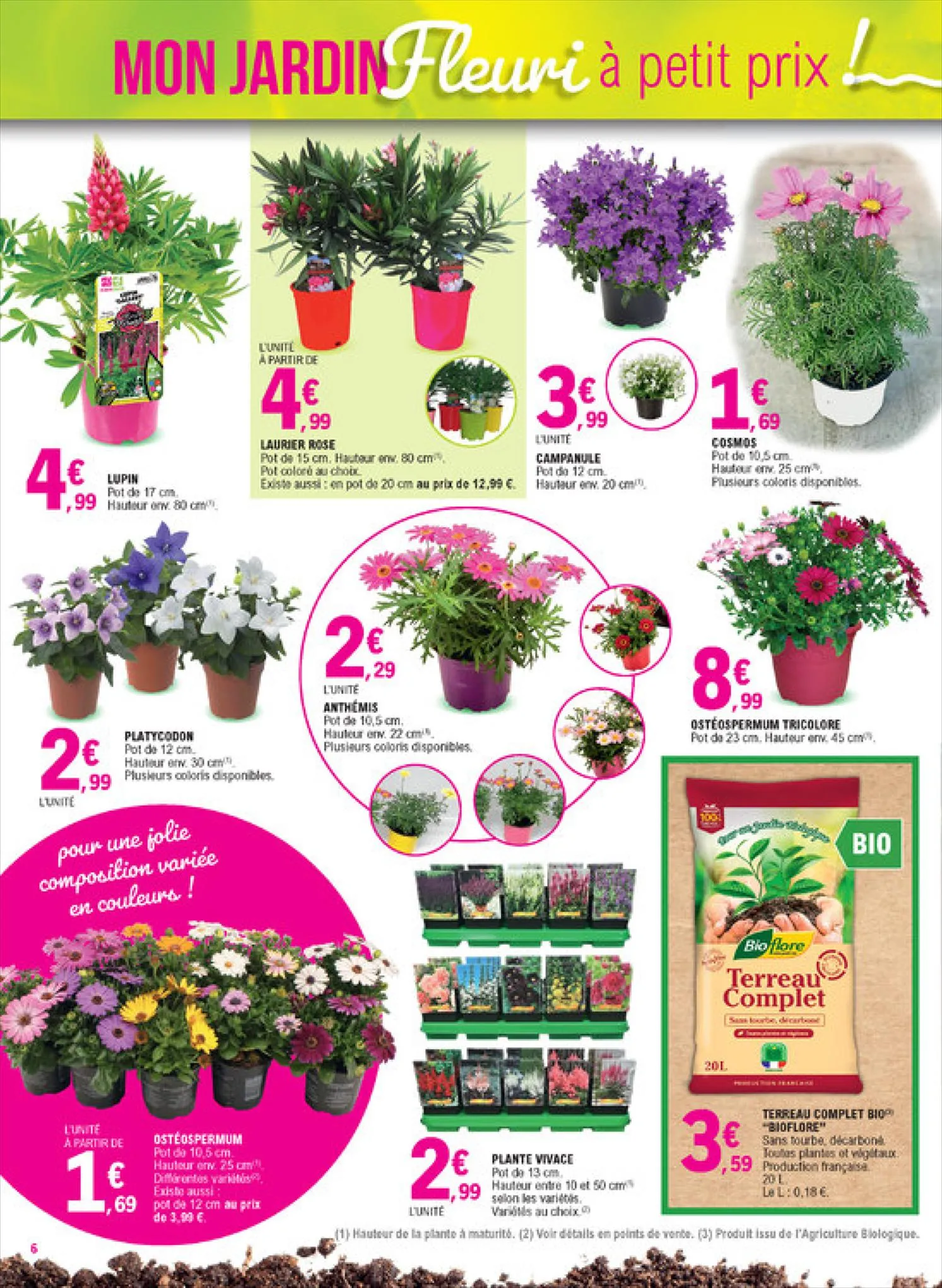 Catalogue Mon jardin fleuri à petit prix!, page 00006