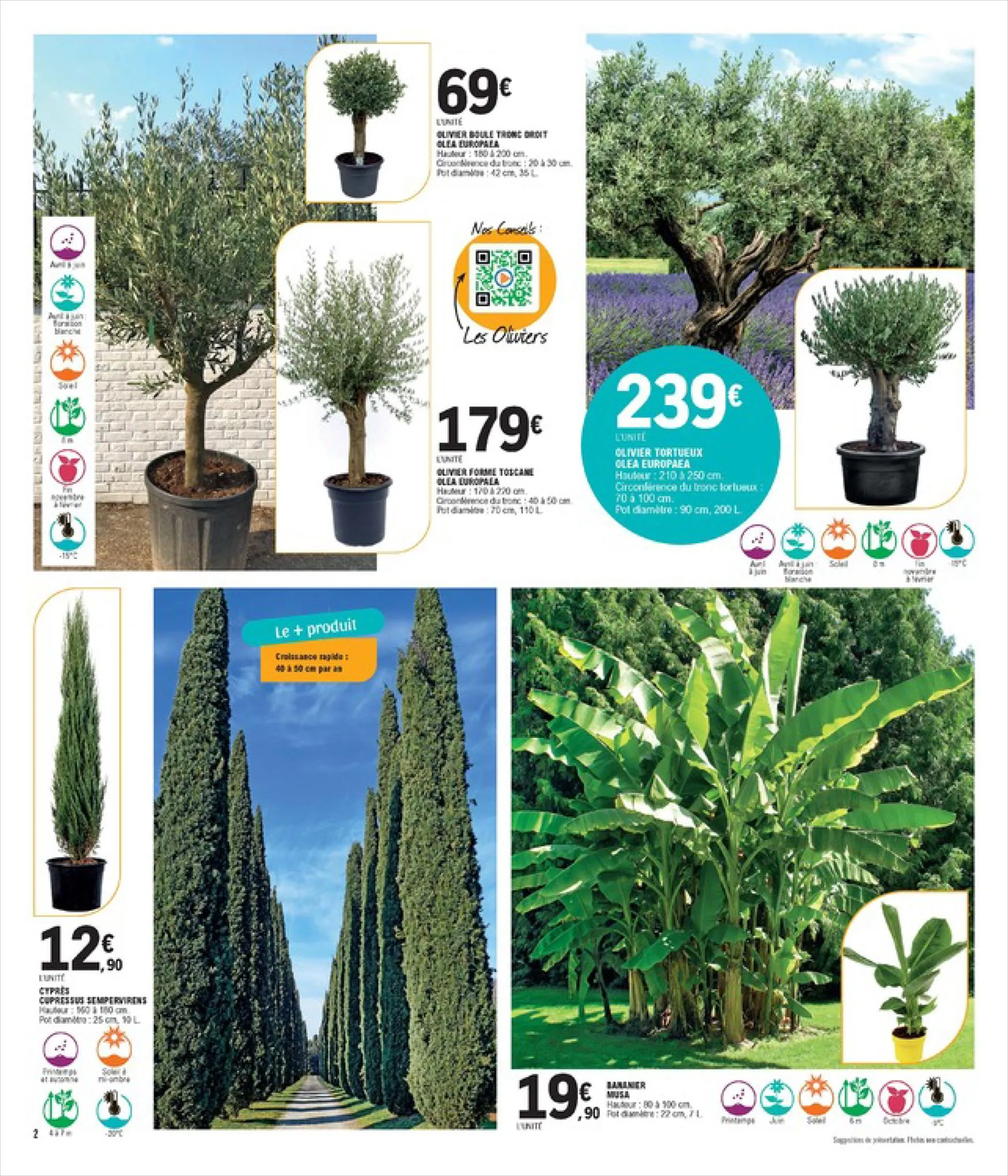 Catalogue Spécial Plantes, page 00002