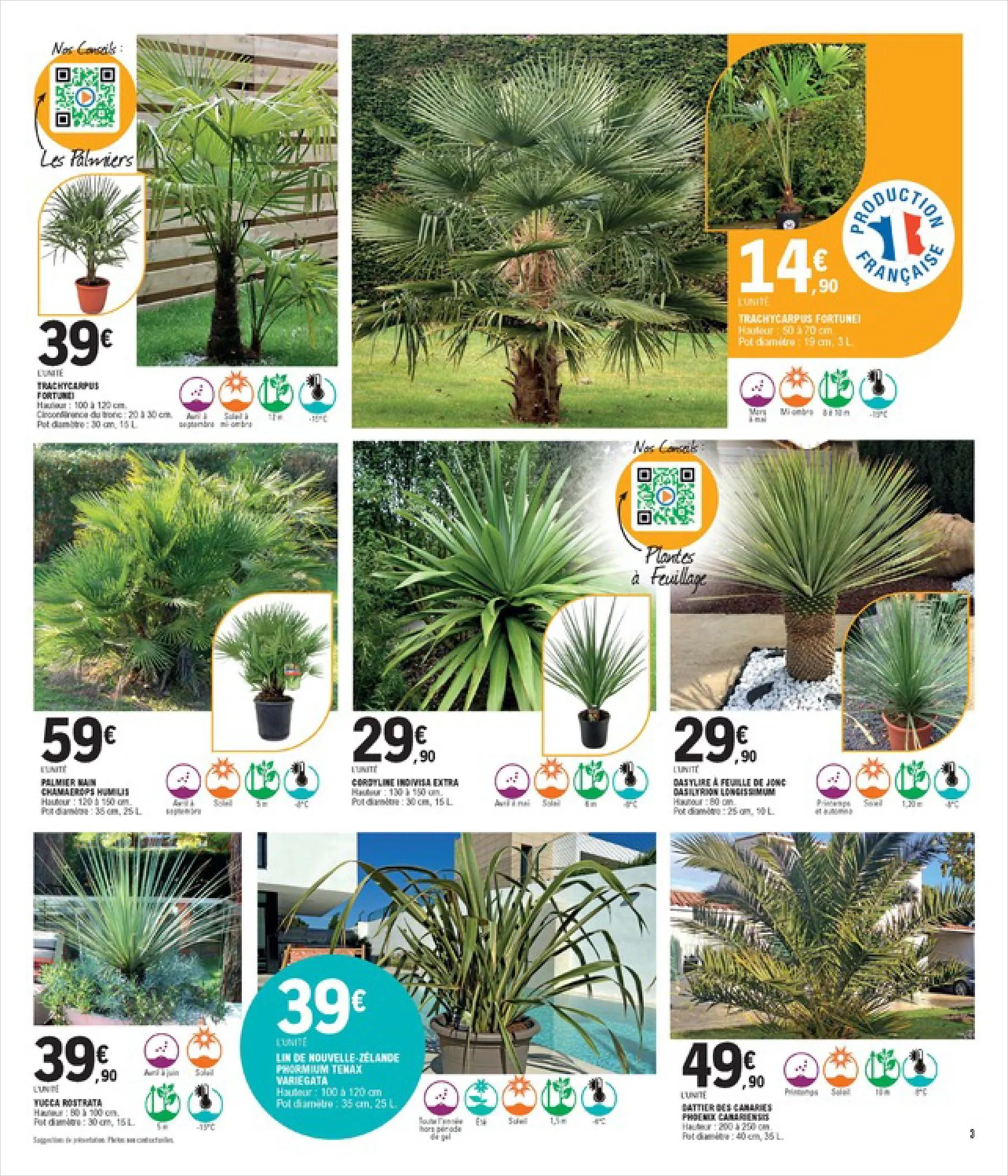 Catalogue Spécial Plantes, page 00003