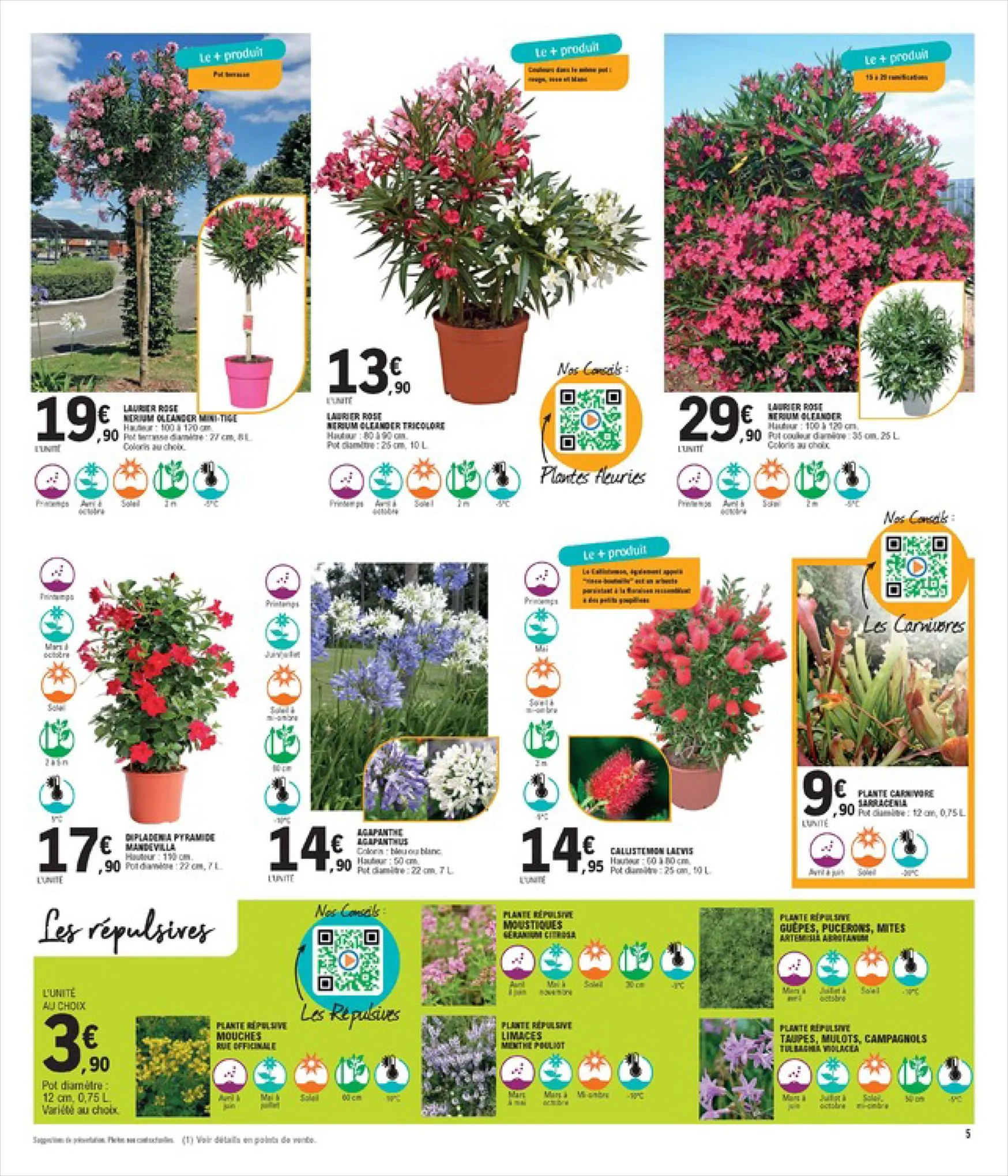 Catalogue Spécial Plantes, page 00005