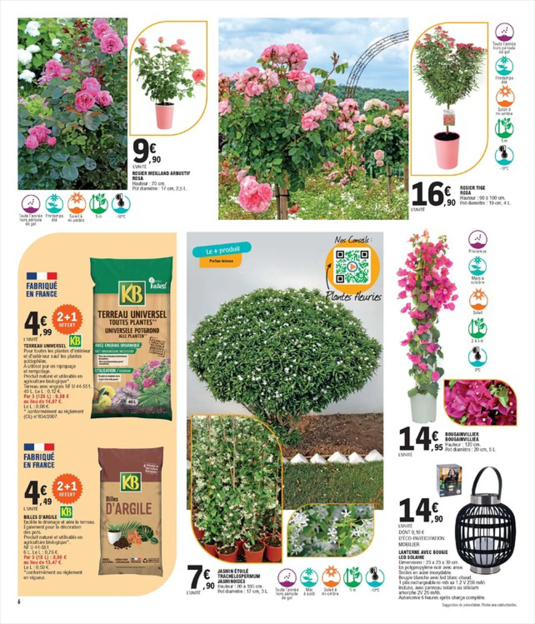 Catalogue Spécial Plantes, page 00006