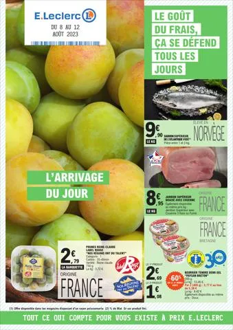 Relance Alimentaire 10 - Mixte