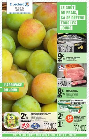 Relance Alimentaire 10 - Mixte