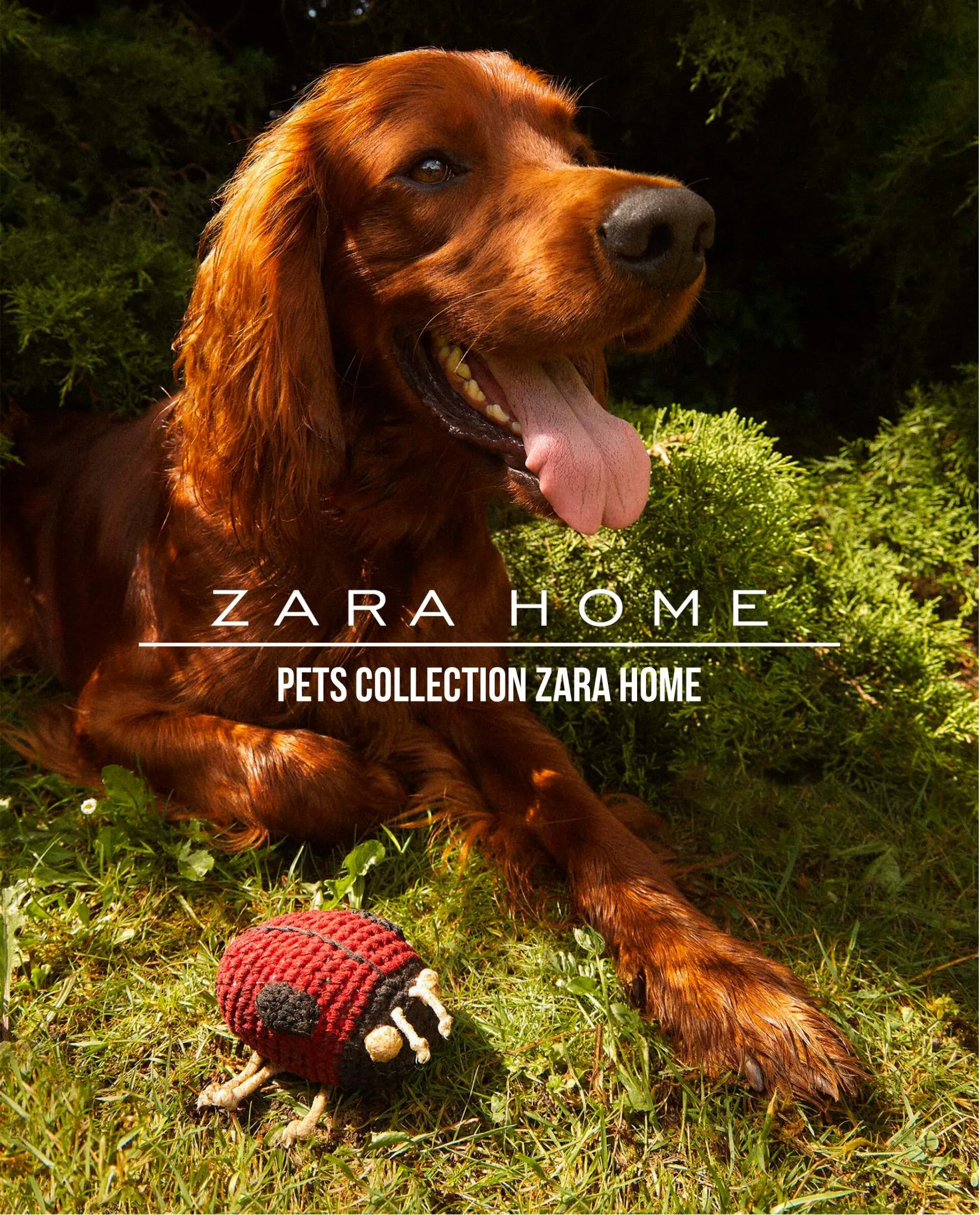 Catalogue Pets Collection Zara Home, page 00001
