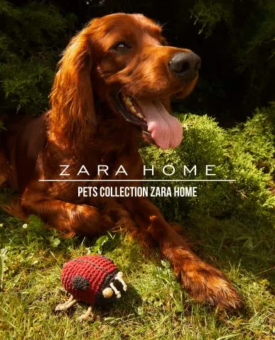 Pets Collection Zara Home