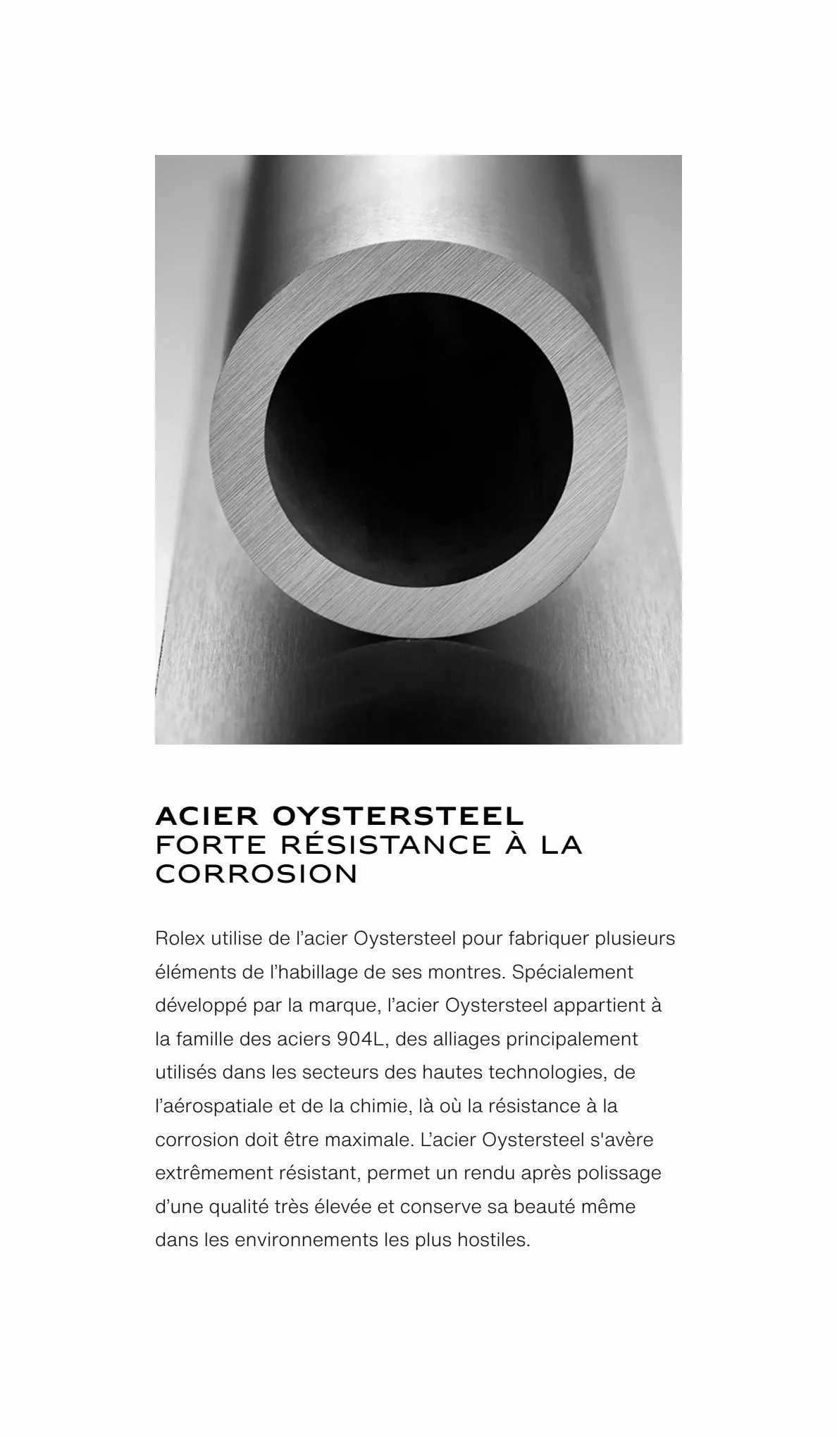 Catalogue Oyster Perpetual 41, page 00004