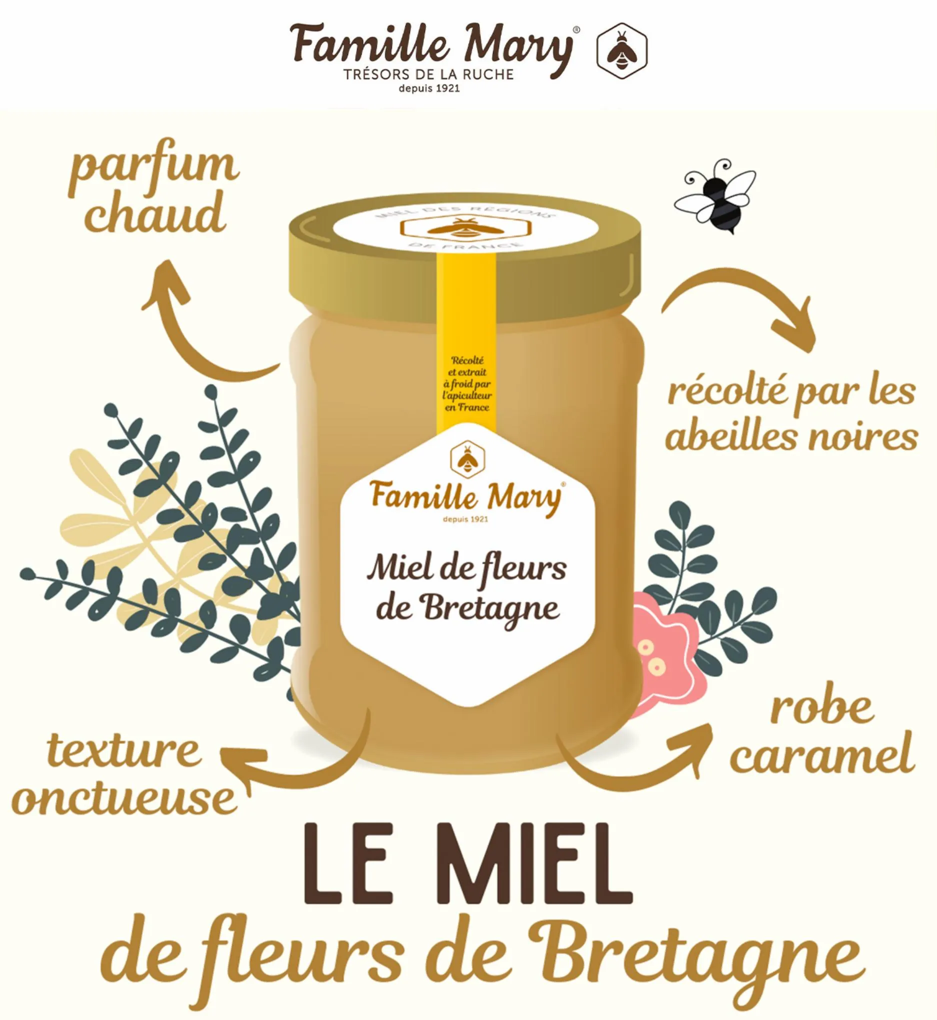 Catalogue PROMOS Famille Mary, page 00001