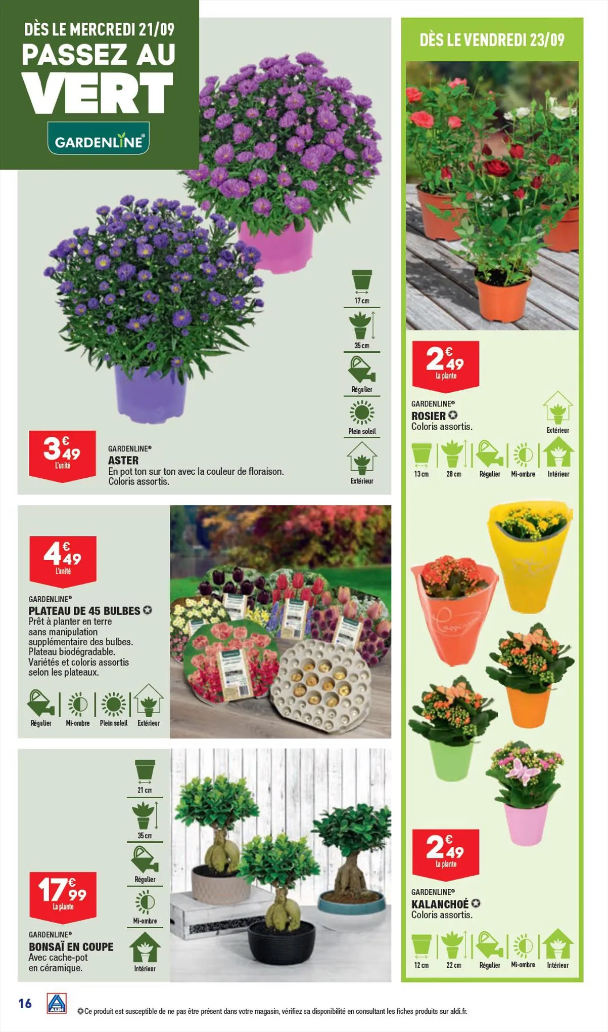 Catalogue Catalogue Aldi, page 00018