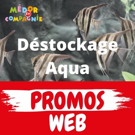 Catalogue Médor et Compagnie | Déstockage Aqua | 14/05/2022 - 24/05/2022
