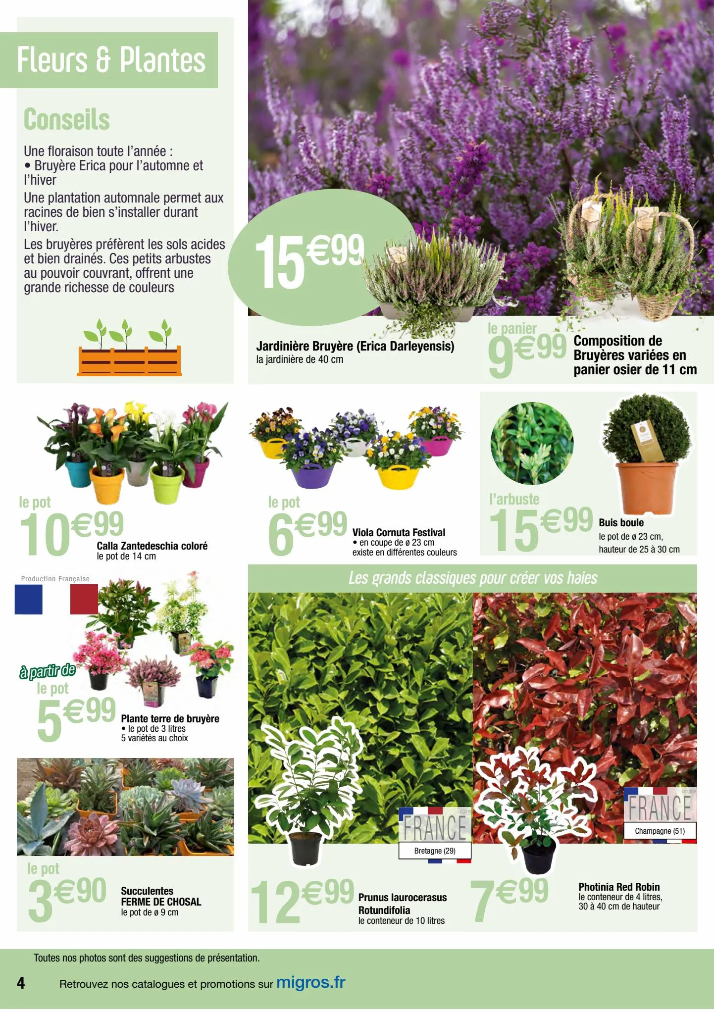 Catalogue Jardin d’automne, page 00004