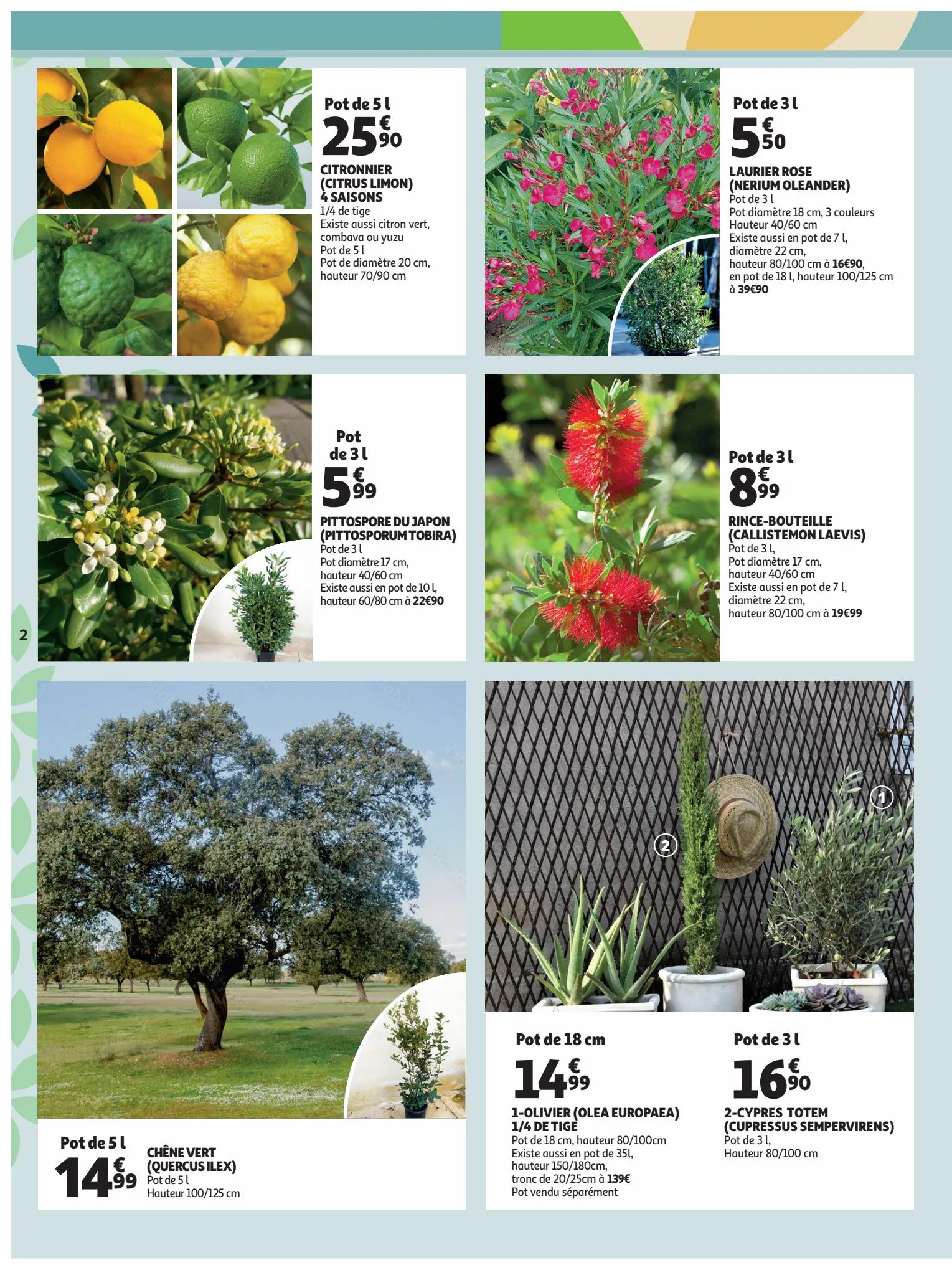 Catalogue La sélection de l'expert jardin de votre magasin, page 00002