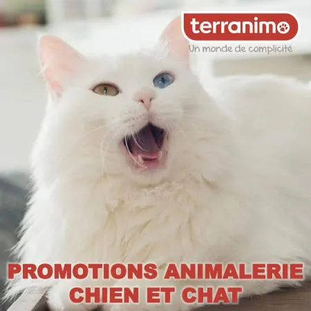 Promotions Animalerie chien et chat