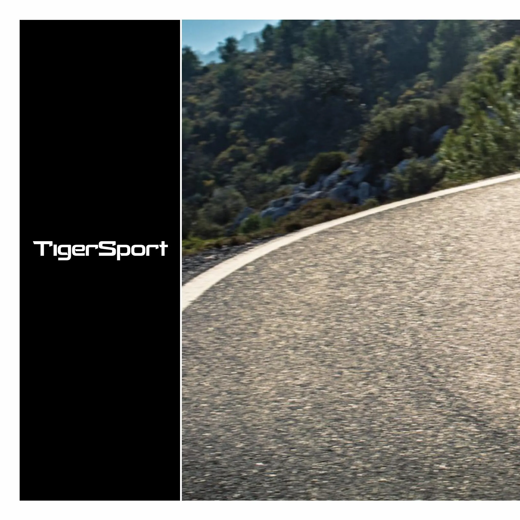 Catalogue Triumph Tiger Sport, page 00002