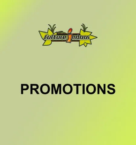 Promotions Culture Indoor