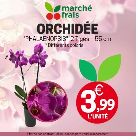 Marché Frais Géant Promotions