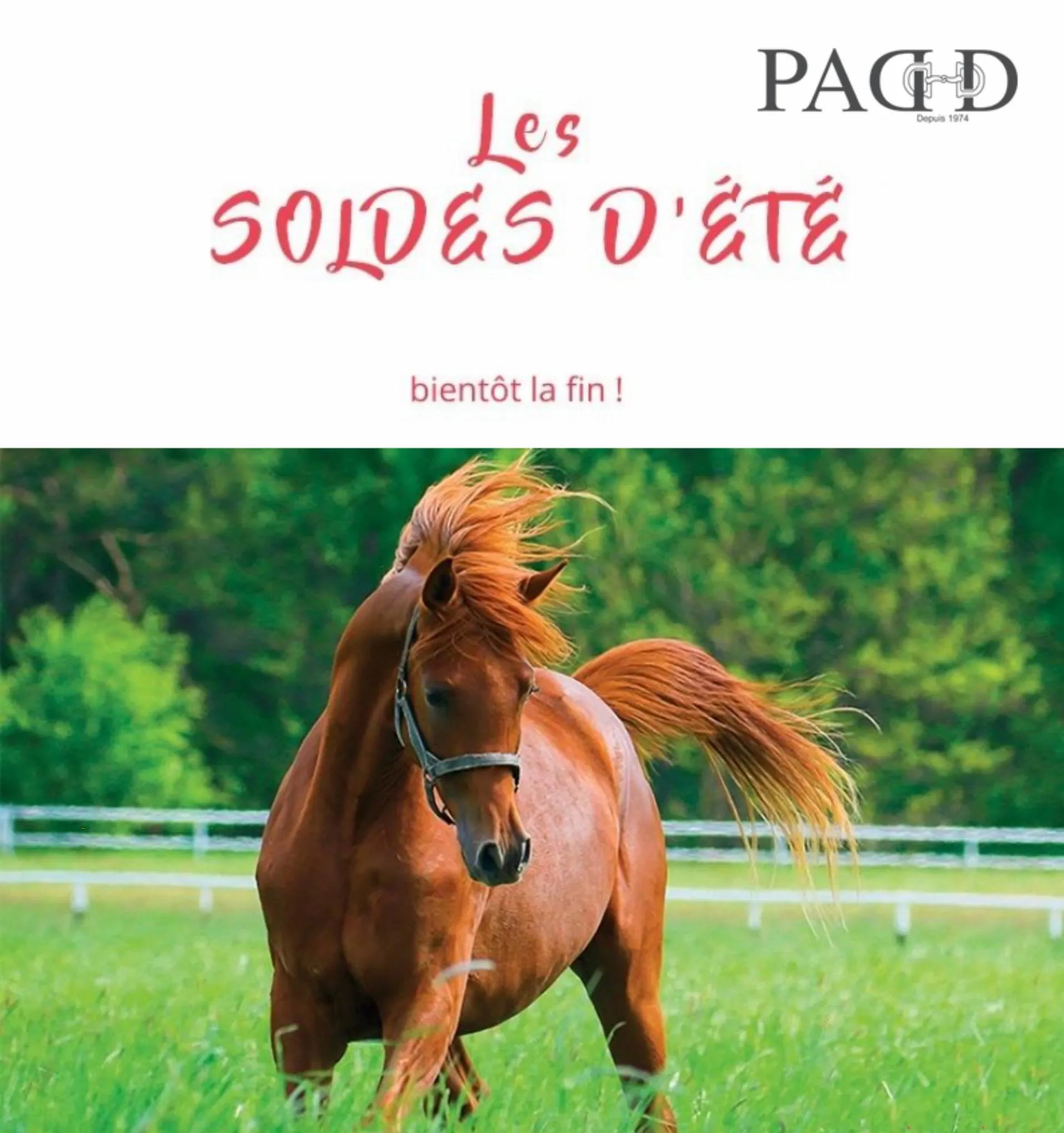 Catalogue LES SOLDES D'ETE!, page 00001