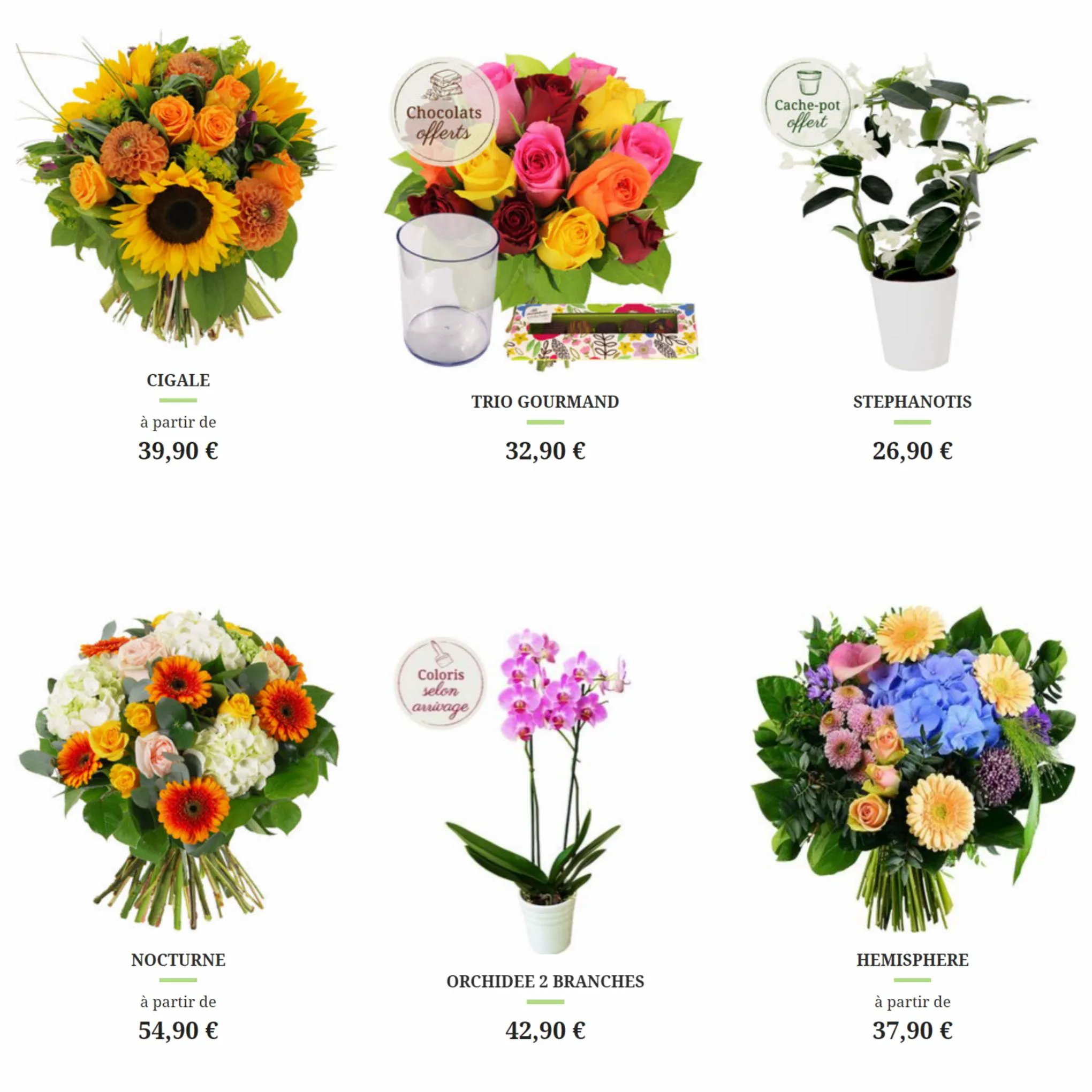 Catalogue Florajet bons plans, page 00007