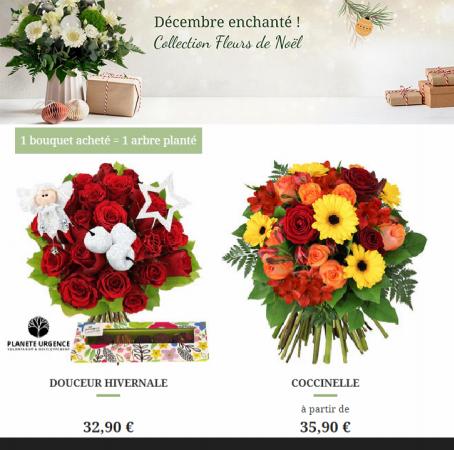 Catalogue Florajet | Offres Spéciales de Noel | 15/12/2022 - 28/02/2023