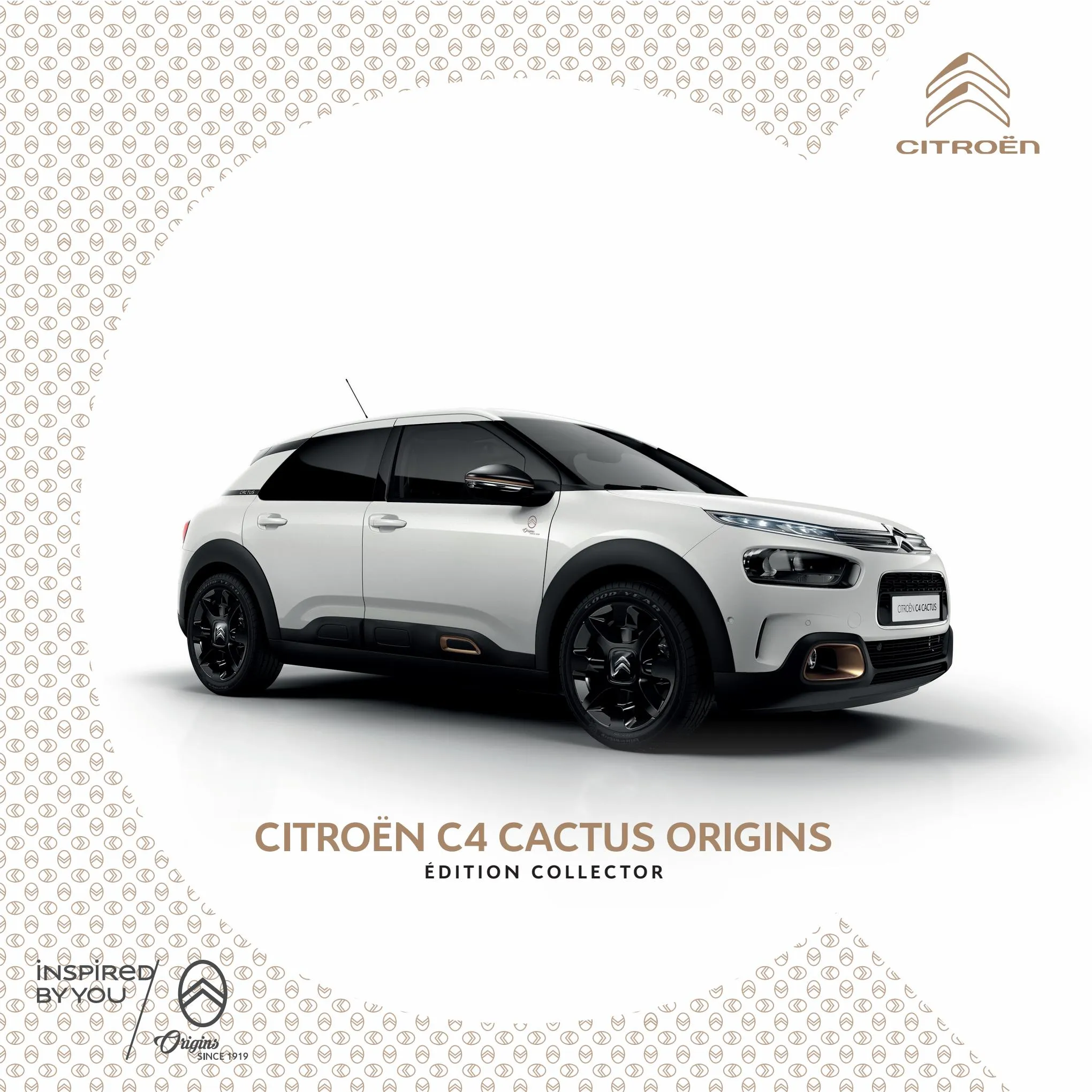 Catalogue Citroën C4 Cactus Business, page 00001
