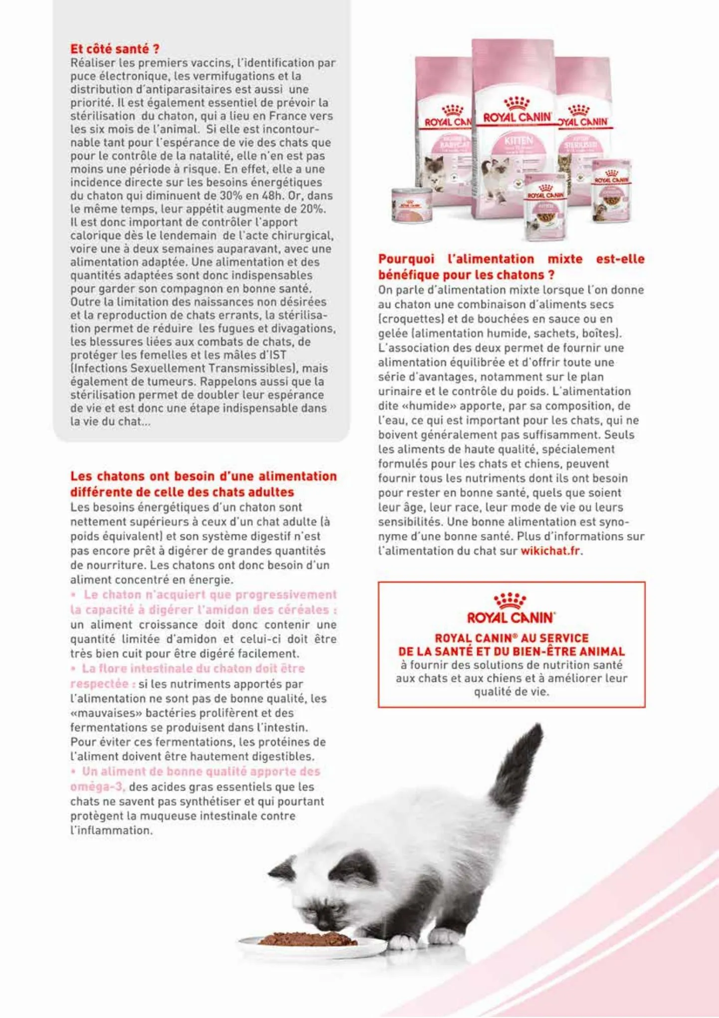 Catalogue VillaVerde C R É AT I F S REGARDS ANIMALERIE 2022, page 00017