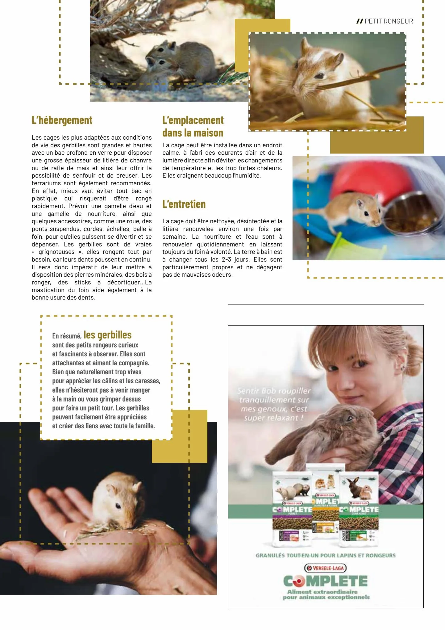 Catalogue VillaVerde C R É AT I F S REGARDS ANIMALERIE 2022, page 00041