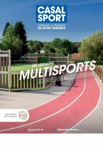 Les Terrains Multisports