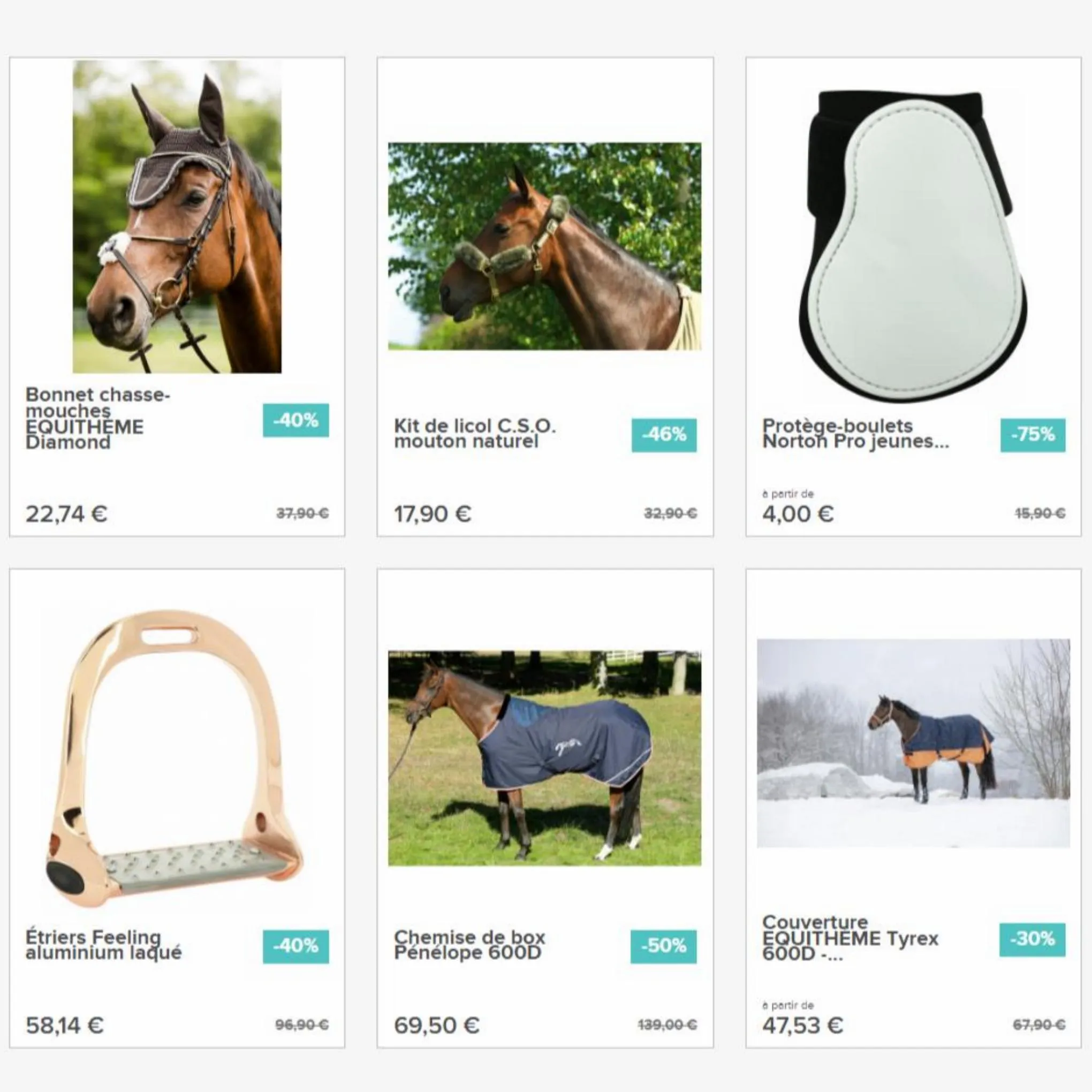 Catalogue Les meilleurs prix pour votre cheval, page 00006