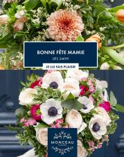 Catalogue Monceau Fleurs | Nouveauté | 27/02/2023 - 27/03/2023