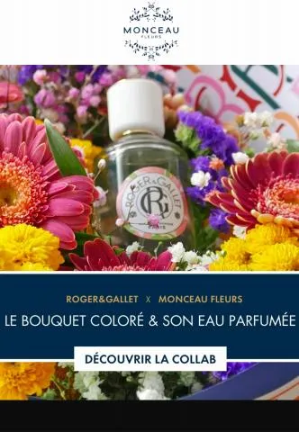 Catalogue Monceau Fleurs à Lyon | Offres Speciales | 23/05/2023 - 06/06/2023