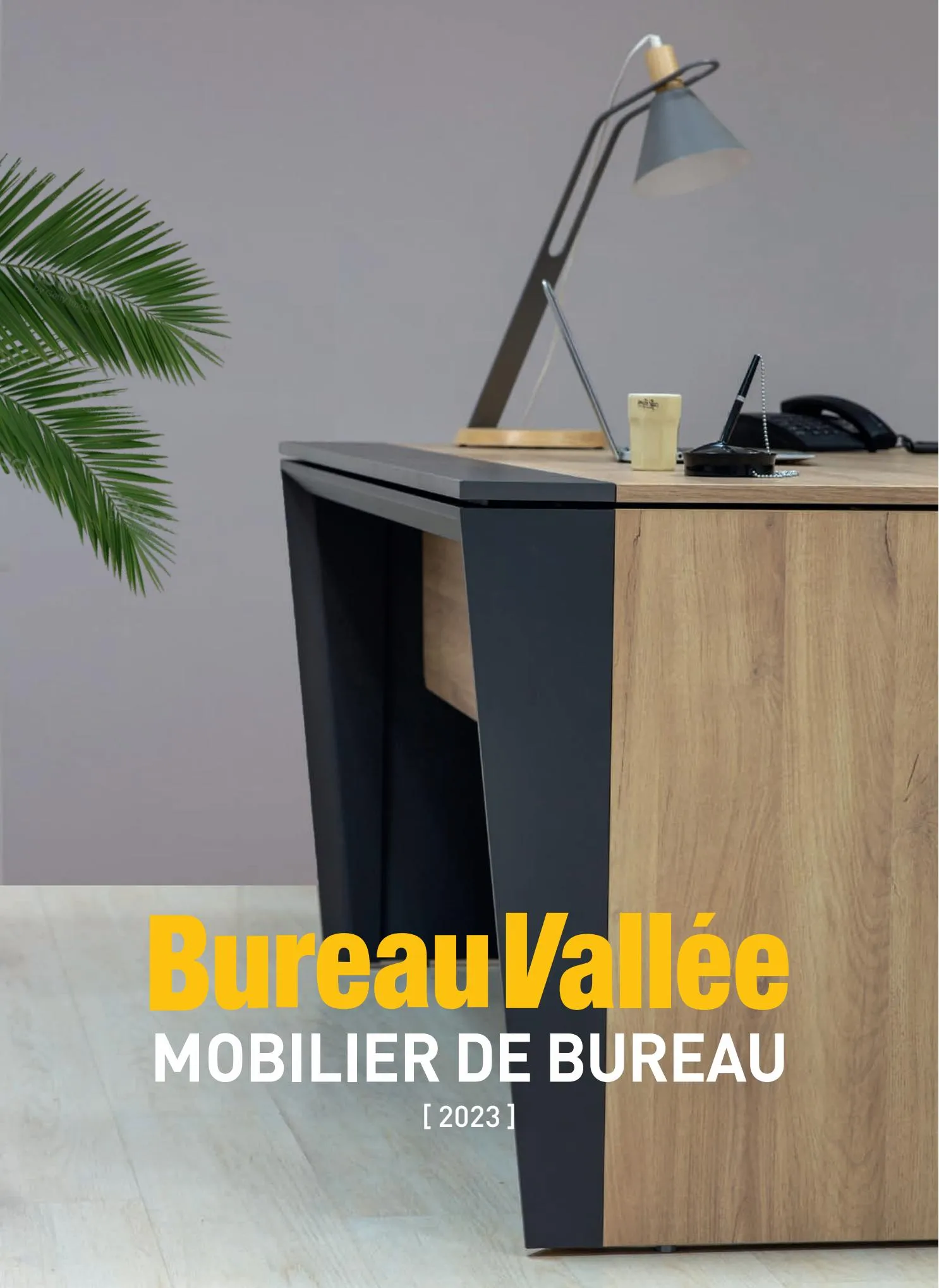 Catalogue Mobilier du Bureau, page 00001