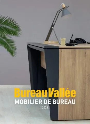 Catalogue Bureau Vallée | Mobilier de bureau | 05/02/2023 - 31/12/2023