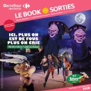 Promos de Culture et Loisirs à Lyon | LE BOOK SORTIES sur Carrefour Spectacles | 13/03/2023 - 13/04/2023
