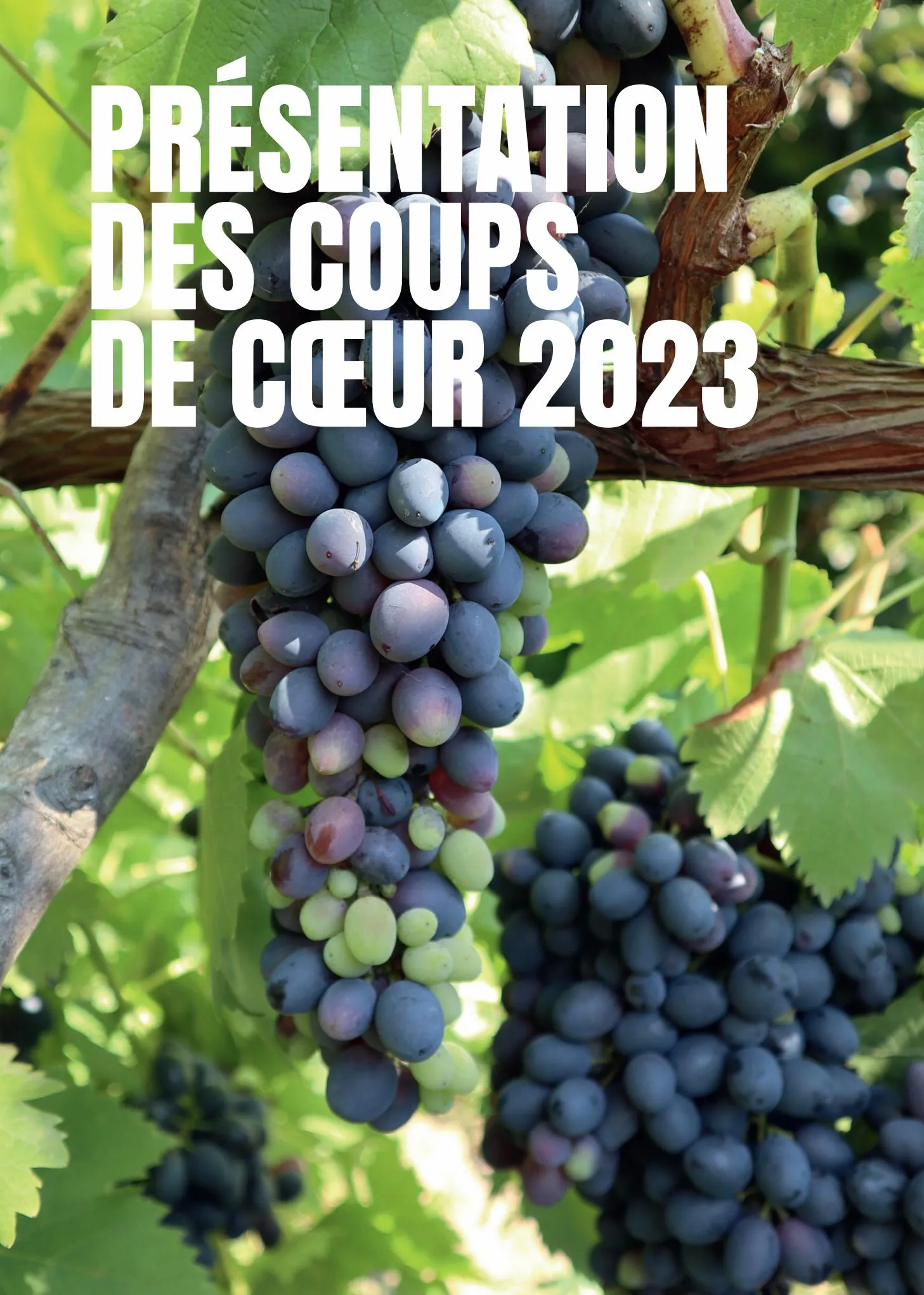 Catalogue Foire aux Vins Biocoop 2023, page 00004