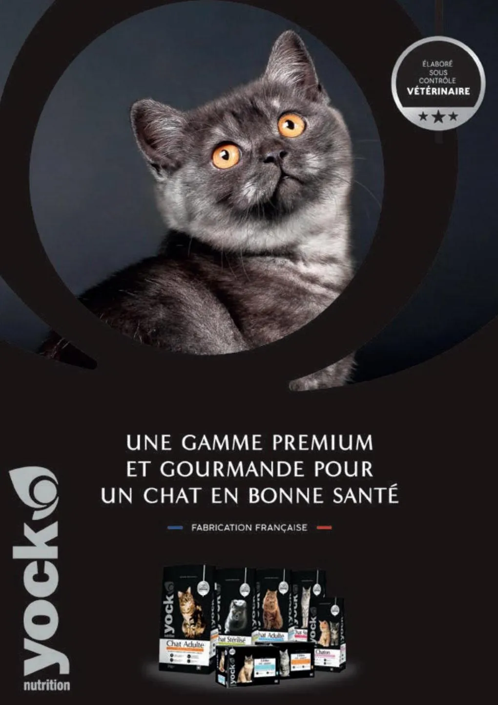 Catalogue Guide chiens et chats 2022-2023, page 00009