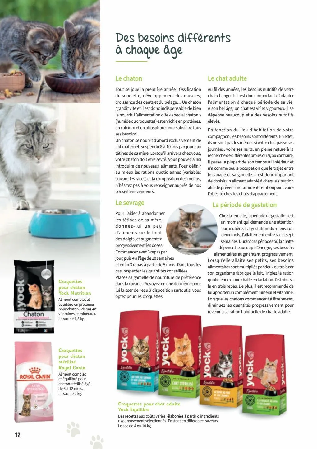 Catalogue Guide chiens et chats 2022-2023, page 00012