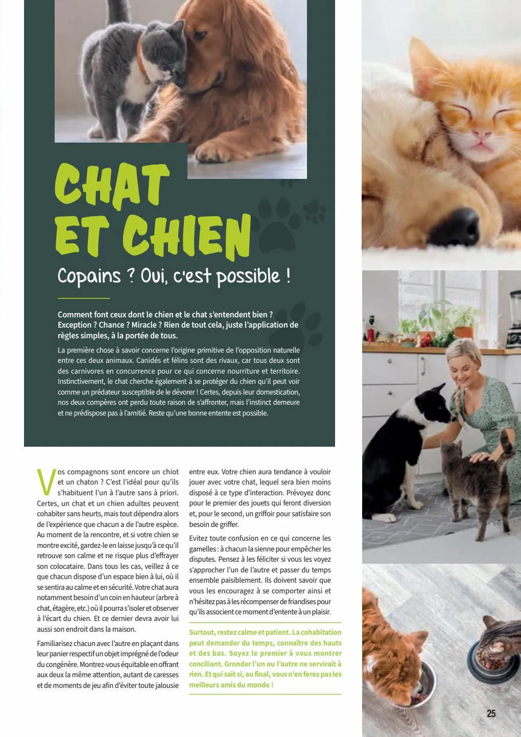 Catalogue Guide chiens et chats 2022-2023, page 00025