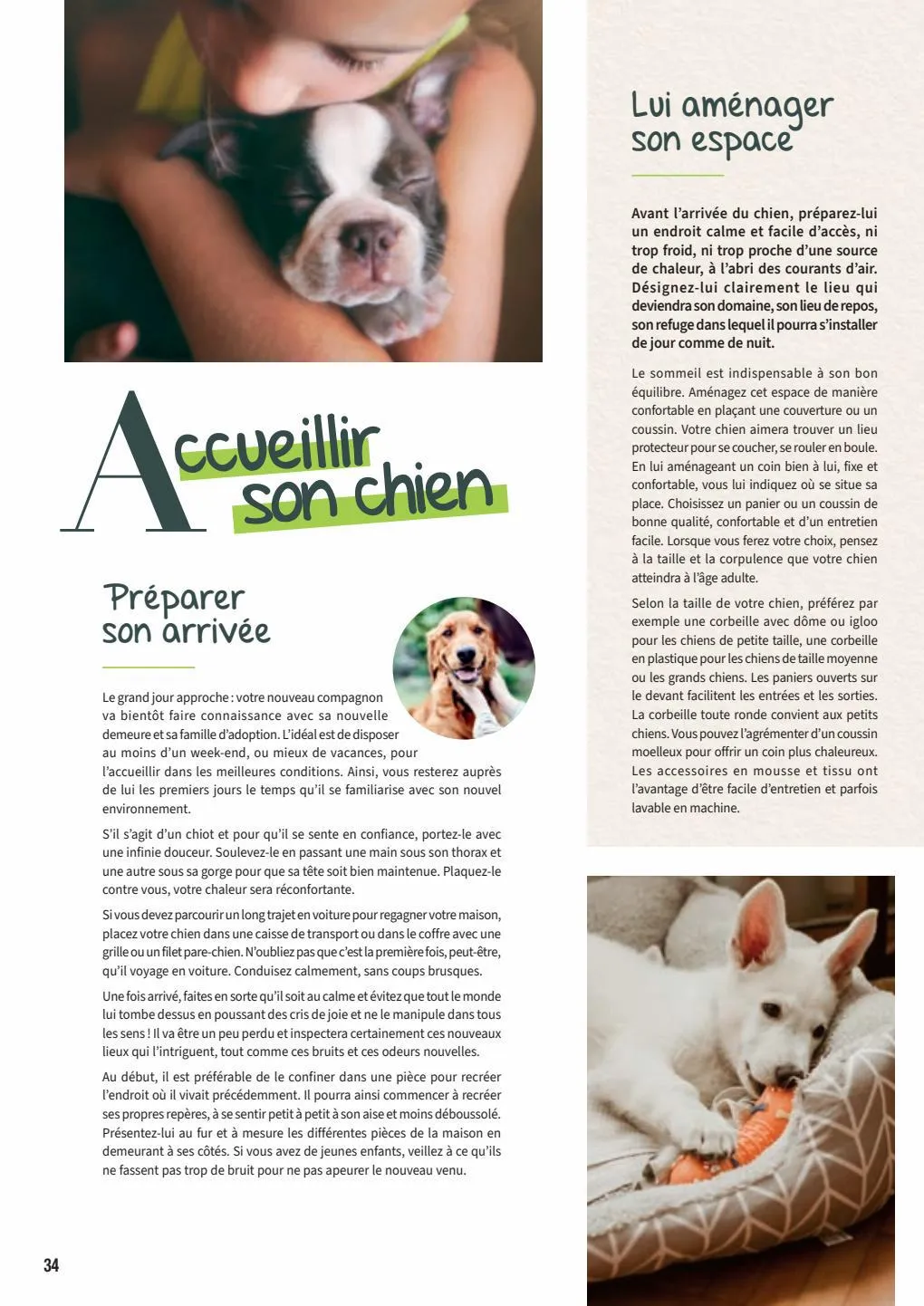 Catalogue Guide chiens et chats 2022-2023, page 00034
