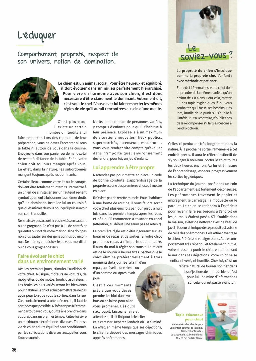 Catalogue Guide chiens et chats 2022-2023, page 00036