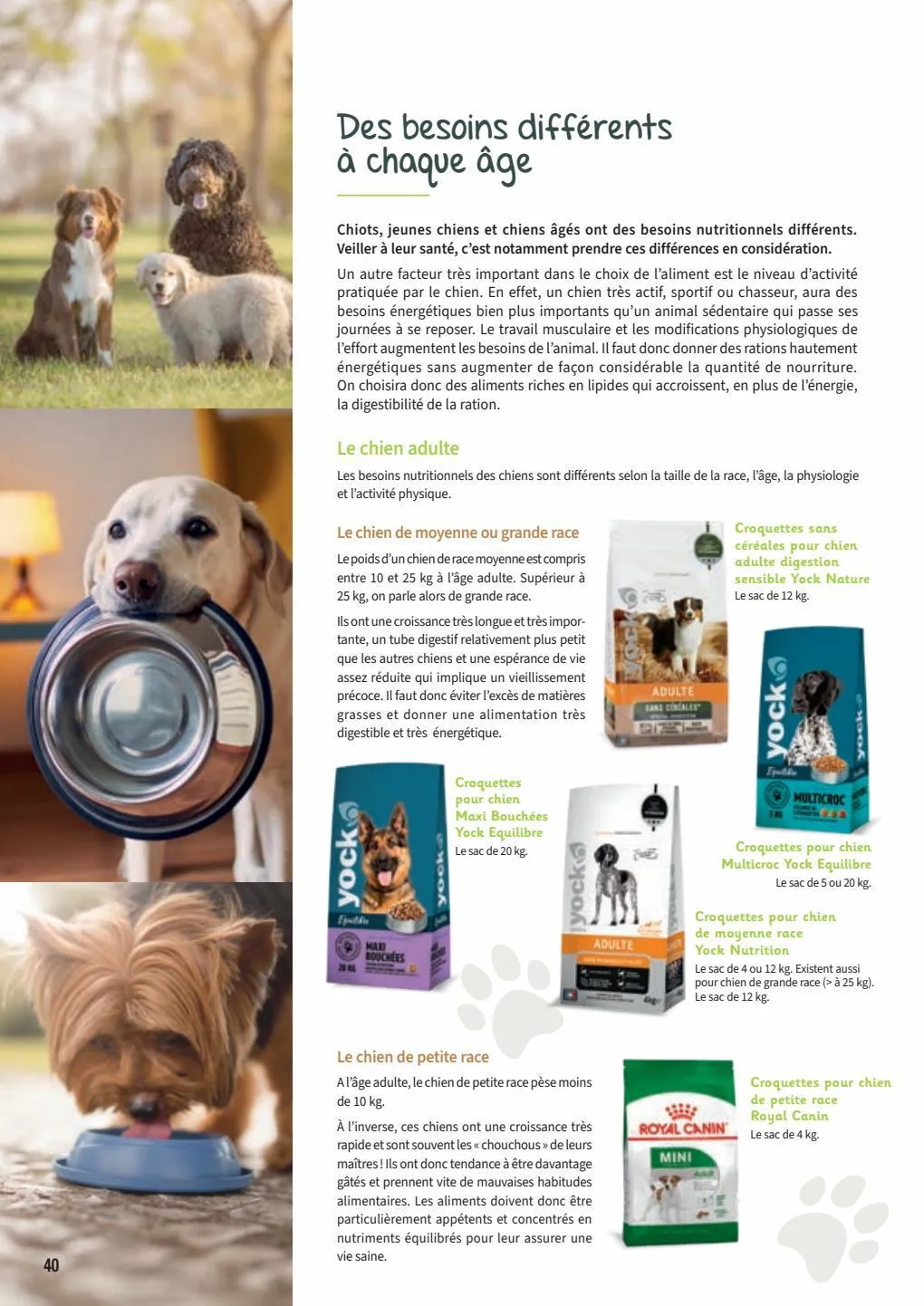Catalogue Guide chiens et chats 2022-2023, page 00040