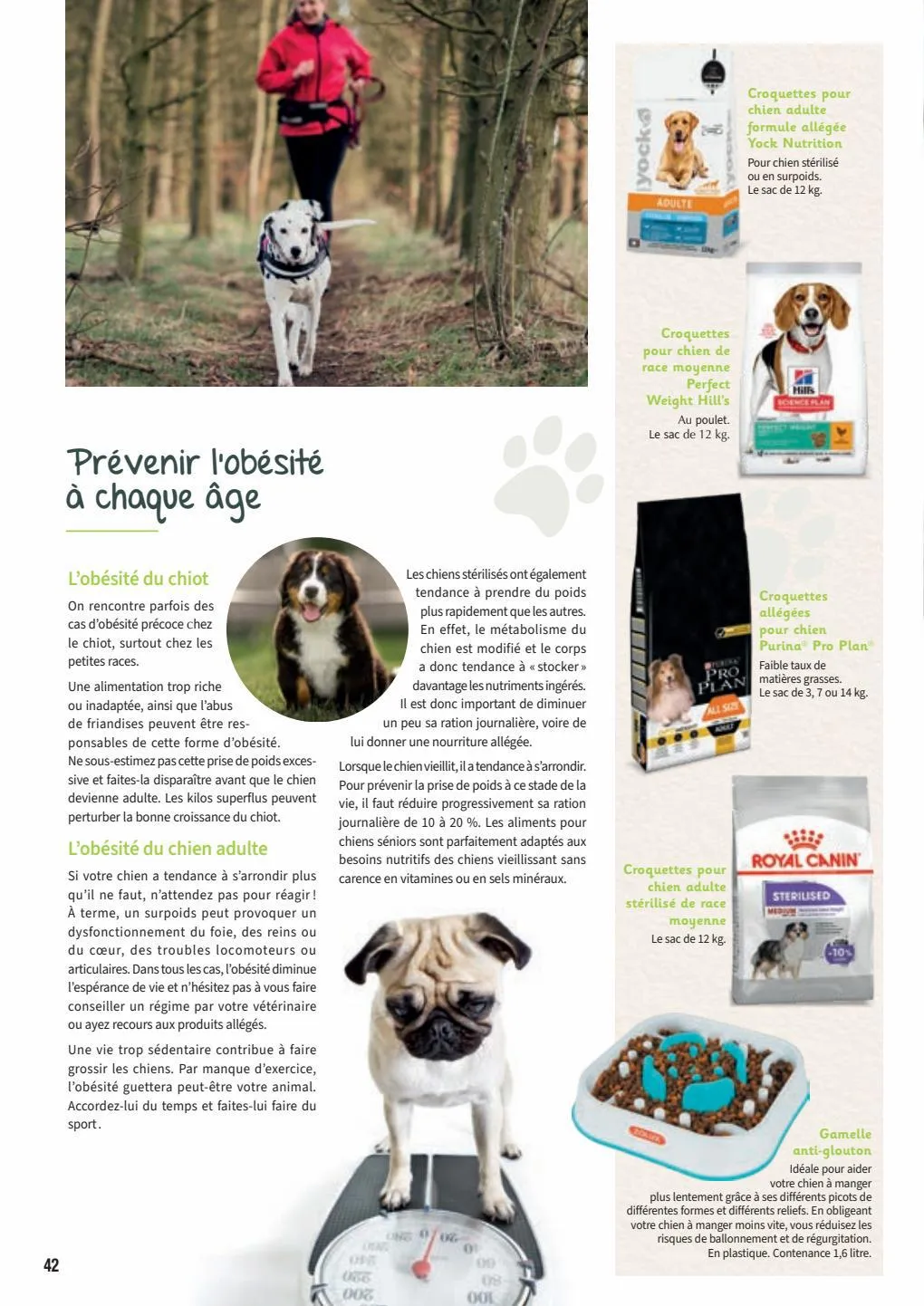 Catalogue Guide chiens et chats 2022-2023, page 00042