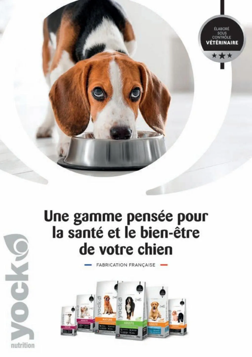 Catalogue Guide chiens et chats 2022-2023, page 00043
