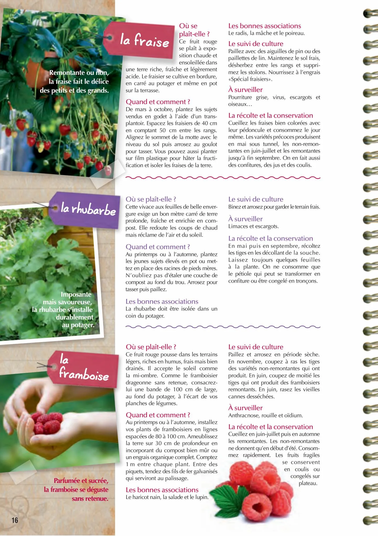 Catalogue Point Vert catalogue, page 00016