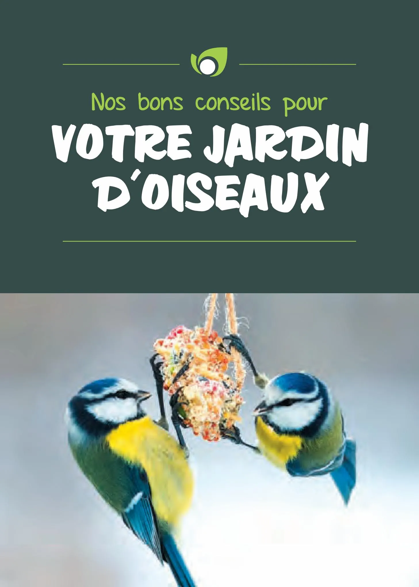 Catalogue Guide les oiseaux de jardin, page 00001