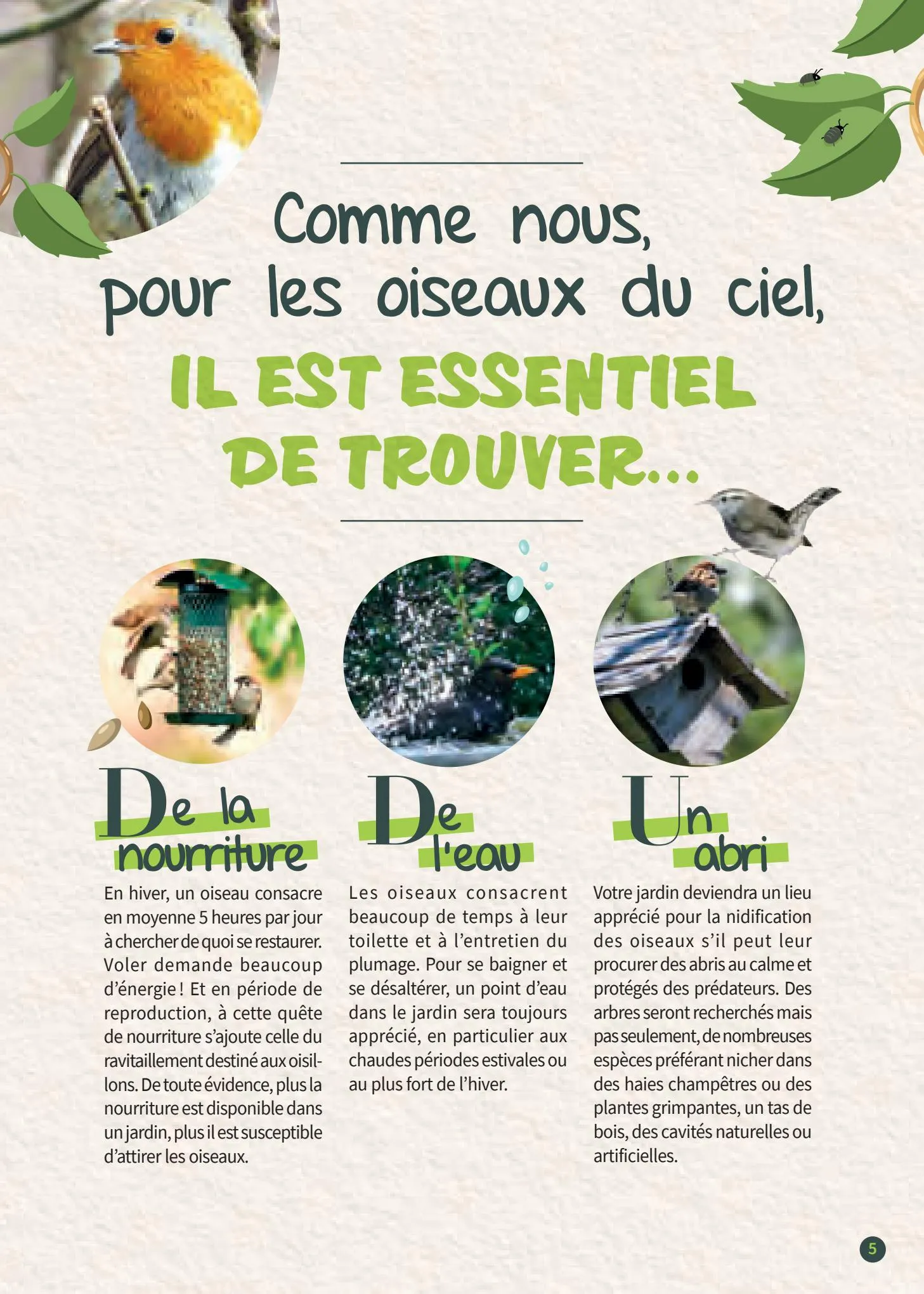 Catalogue Guide les oiseaux de jardin, page 00005