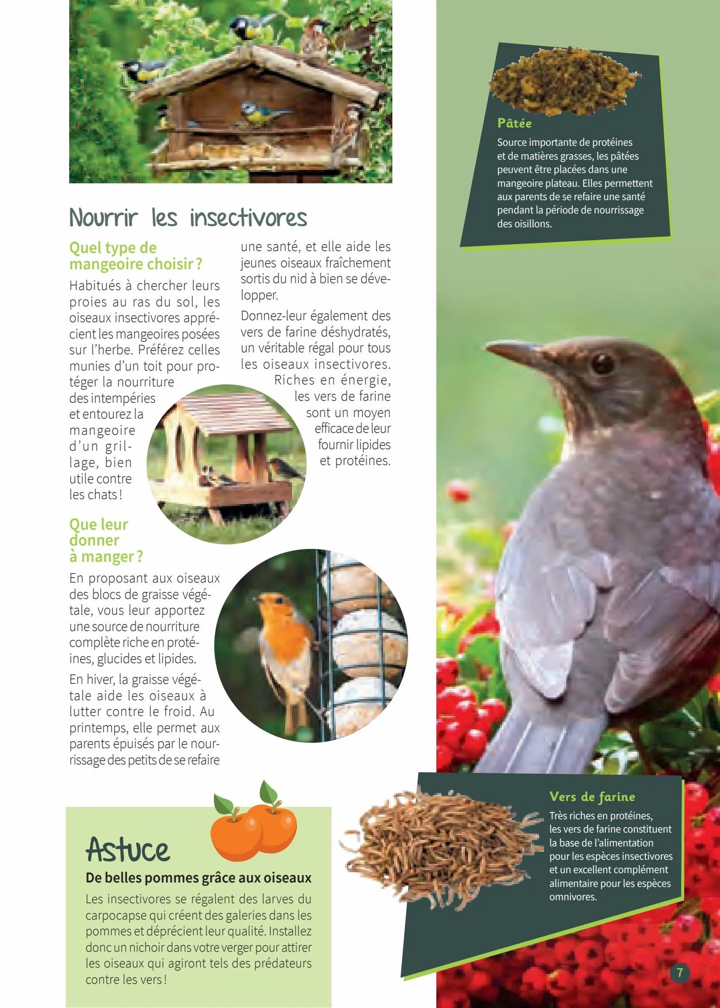Catalogue Guide les oiseaux de jardin, page 00007