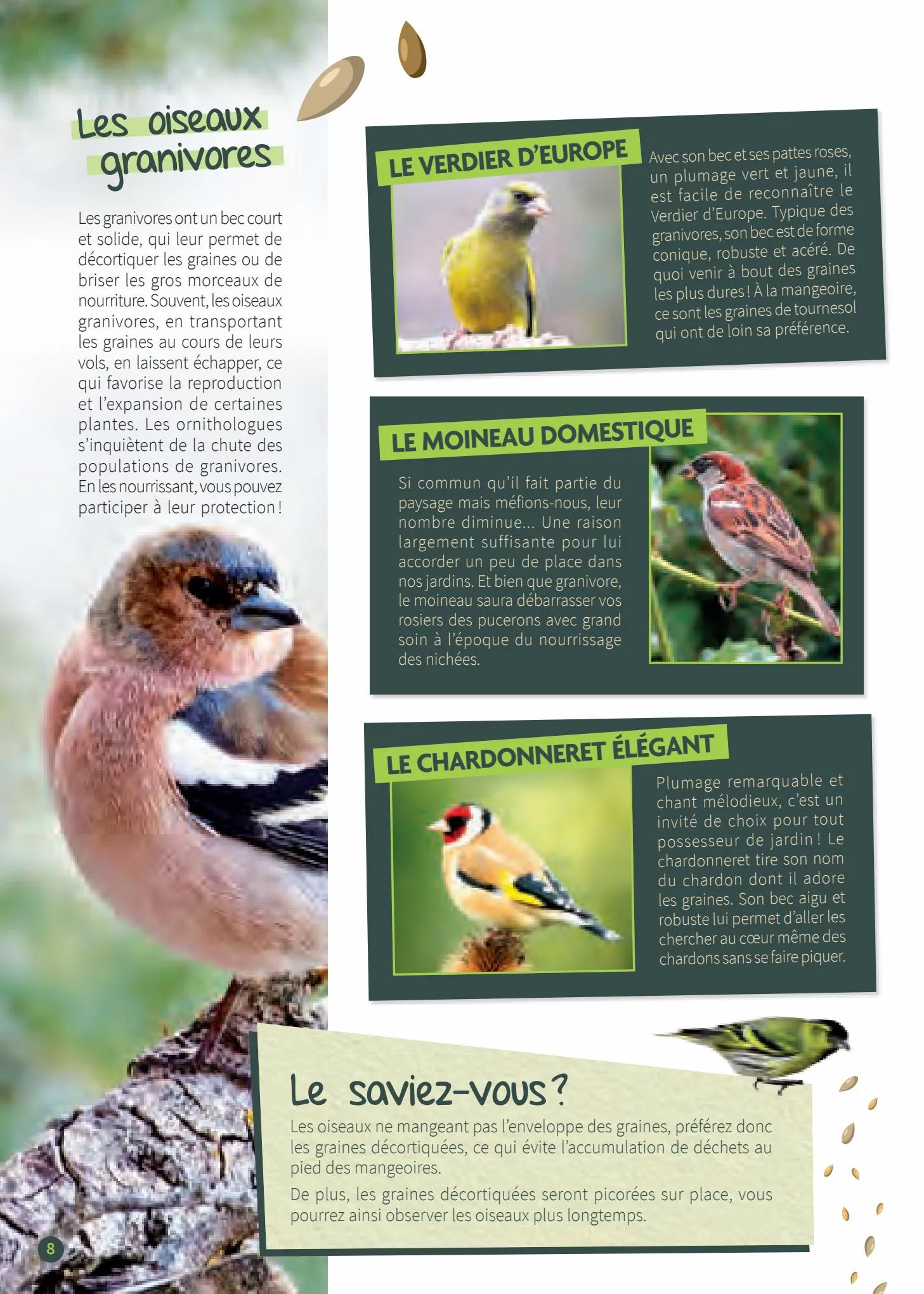 Catalogue Guide les oiseaux de jardin, page 00008