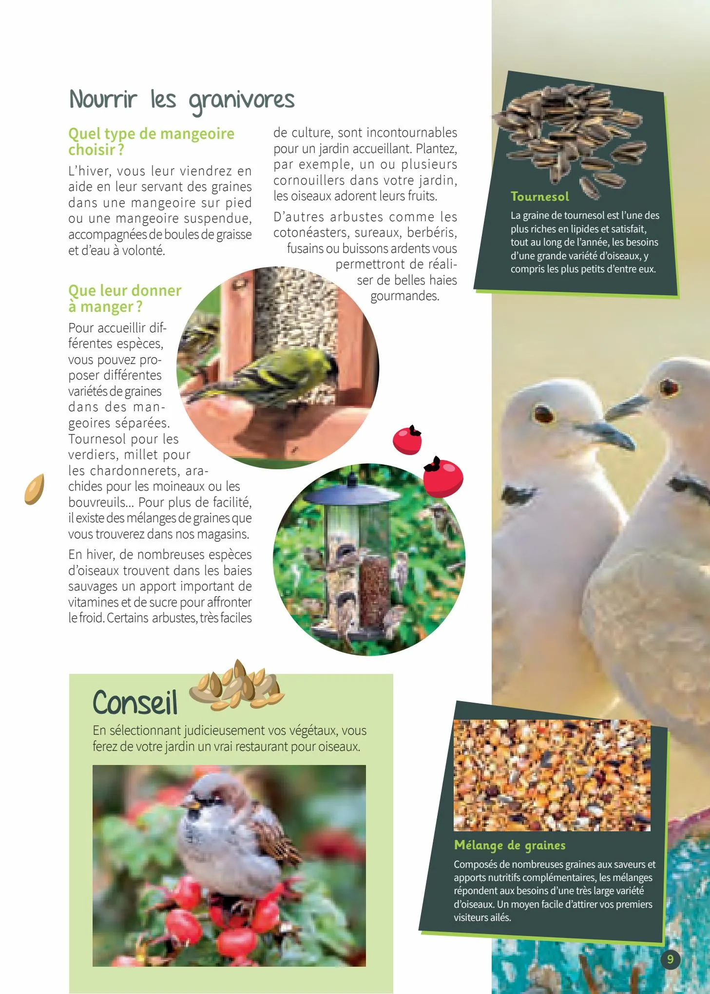 Catalogue Guide les oiseaux de jardin, page 00009
