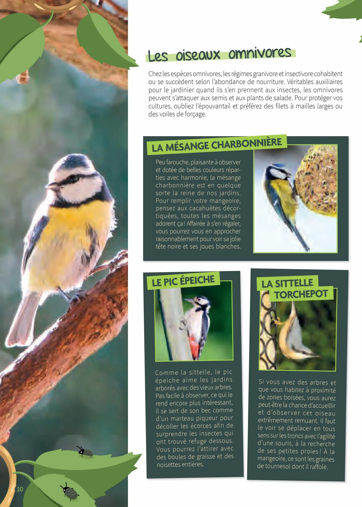 Catalogue Guide les oiseaux de jardin, page 00010